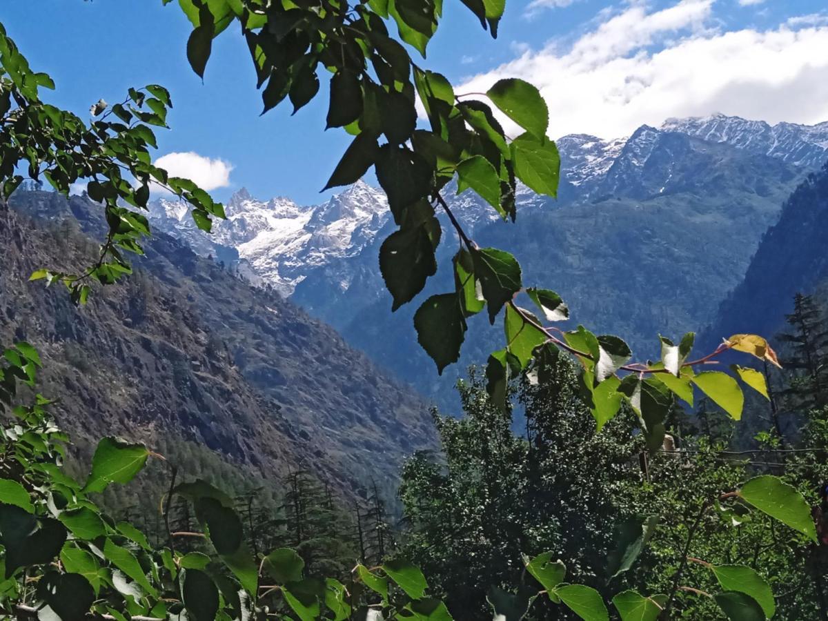 Hotel Kasol View Exteriér fotografie